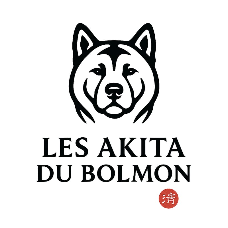Les Akita du Bolmon — dogsitter à Martigues