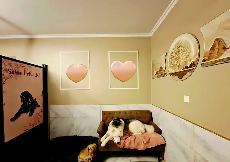 Les Anges du Royaume des Emeraudes — dogsitter à Voiron