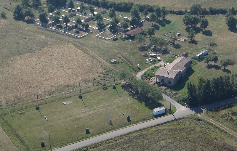 Les Anges Gardiens — dogsitter à Castelginest