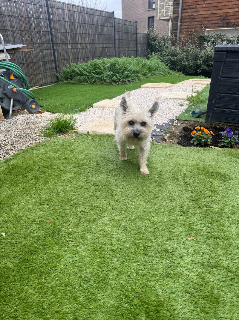 Les canins d'abord — dogsitter à Toulouse