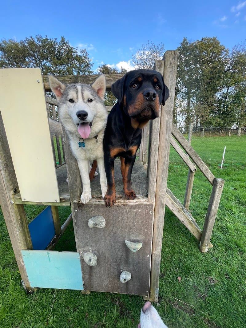 Les instants d'Anaïs