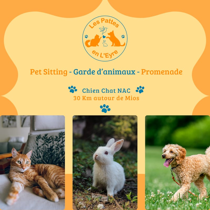 Les Pattes en L'Eyre — dogsitter à Mios