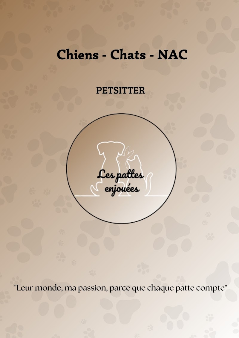 Les pattes enjouées — dogsitter à Toulon