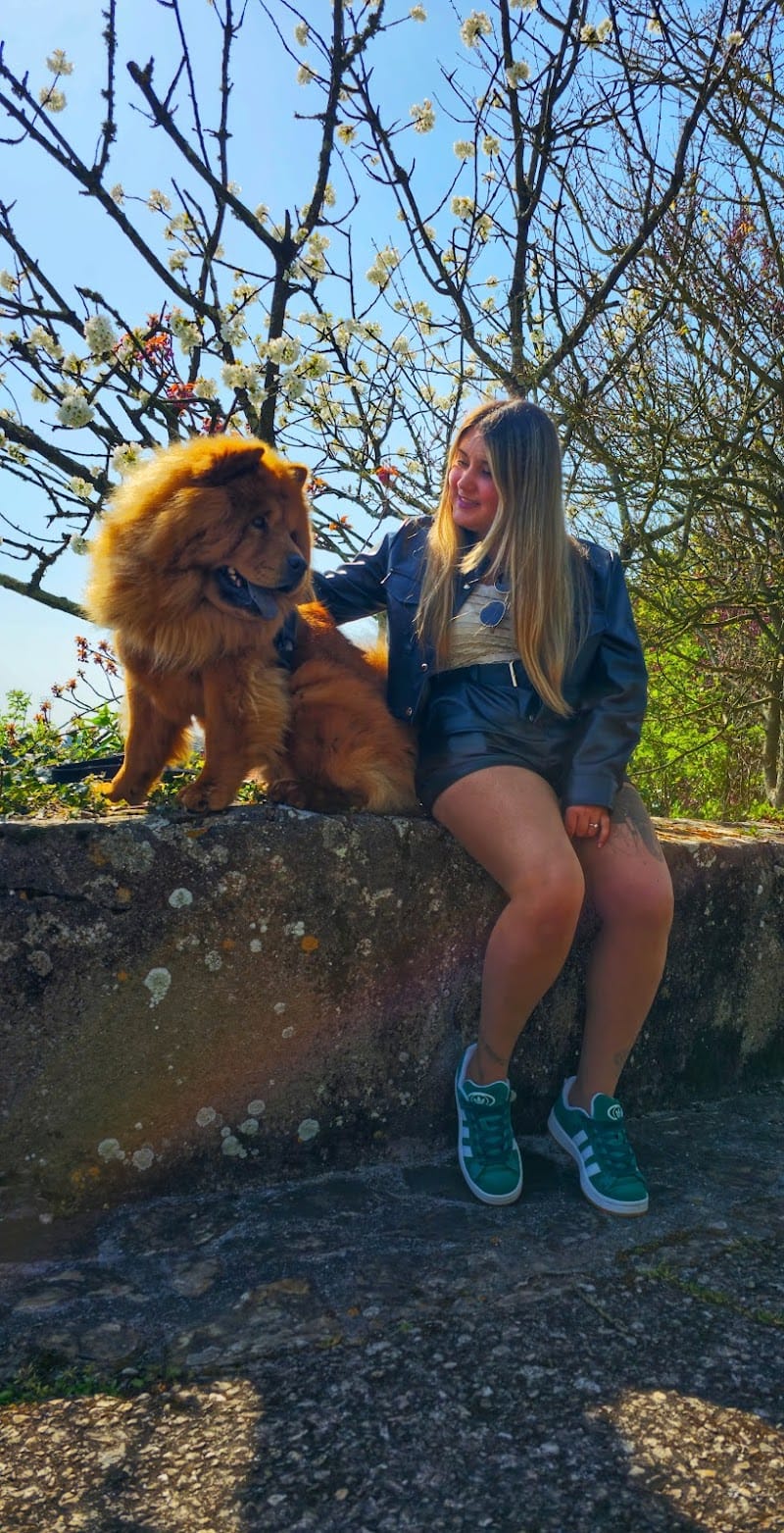 Les pattounes voyageuses — dogsitter à Saint-Nazaire