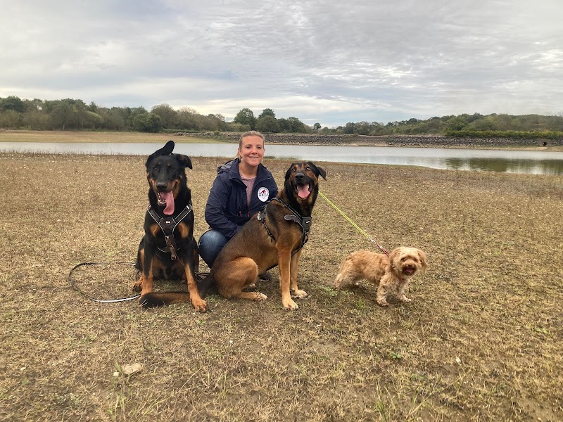 Les Petites moustaches 44. — dogsitter à Pornic