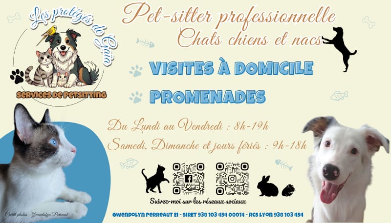 Les protégés de Gaïa 🔥Pet-sitter Chat Chien NAC à Sarcey et alentours 🐾Visites à domicile 🐾Promenades — dogsitter à Tarare
