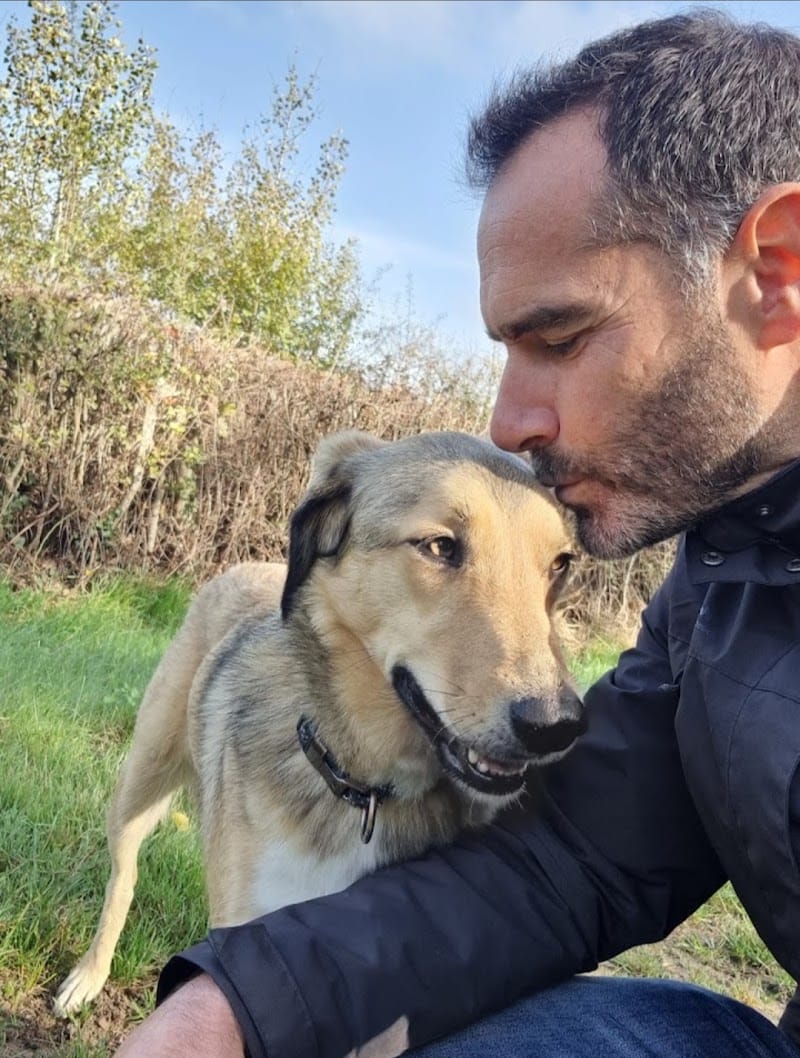 Loïc Dogsitter/Catsitter — dogsitter à Trappes