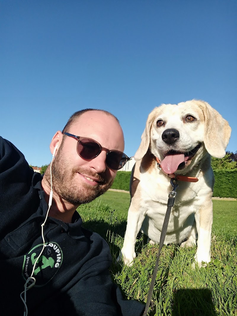 LOUPING — dogsitter à Lyon