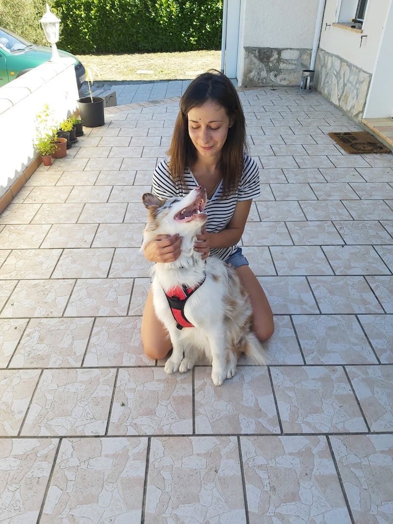 LRocket — dogsitter à Castelnaudary
