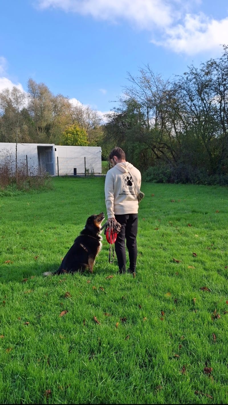 LRpetsitting — dogsitter à Lille