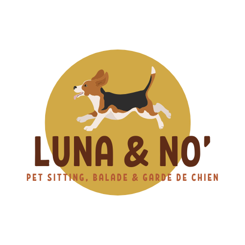 Luna and No, dog-sitting, garde de chien et balades à Villefranche-sur-Saône — dogsitter à Villefranche-sur-Saône