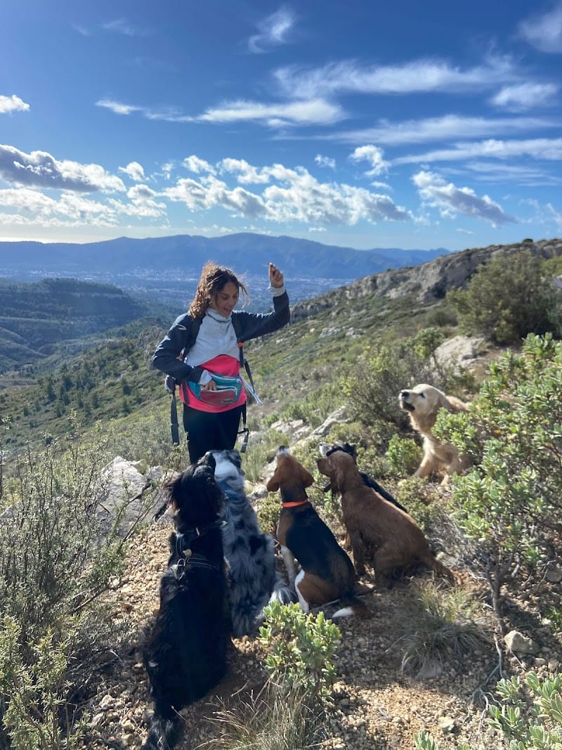 MA PEPETTE — dogsitter à Marseille