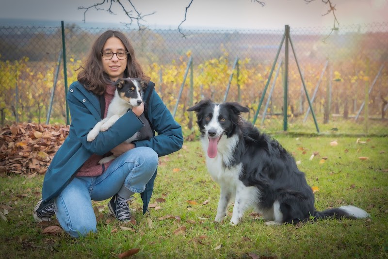 Maelenn Curien — dogsitter à Strasbourg