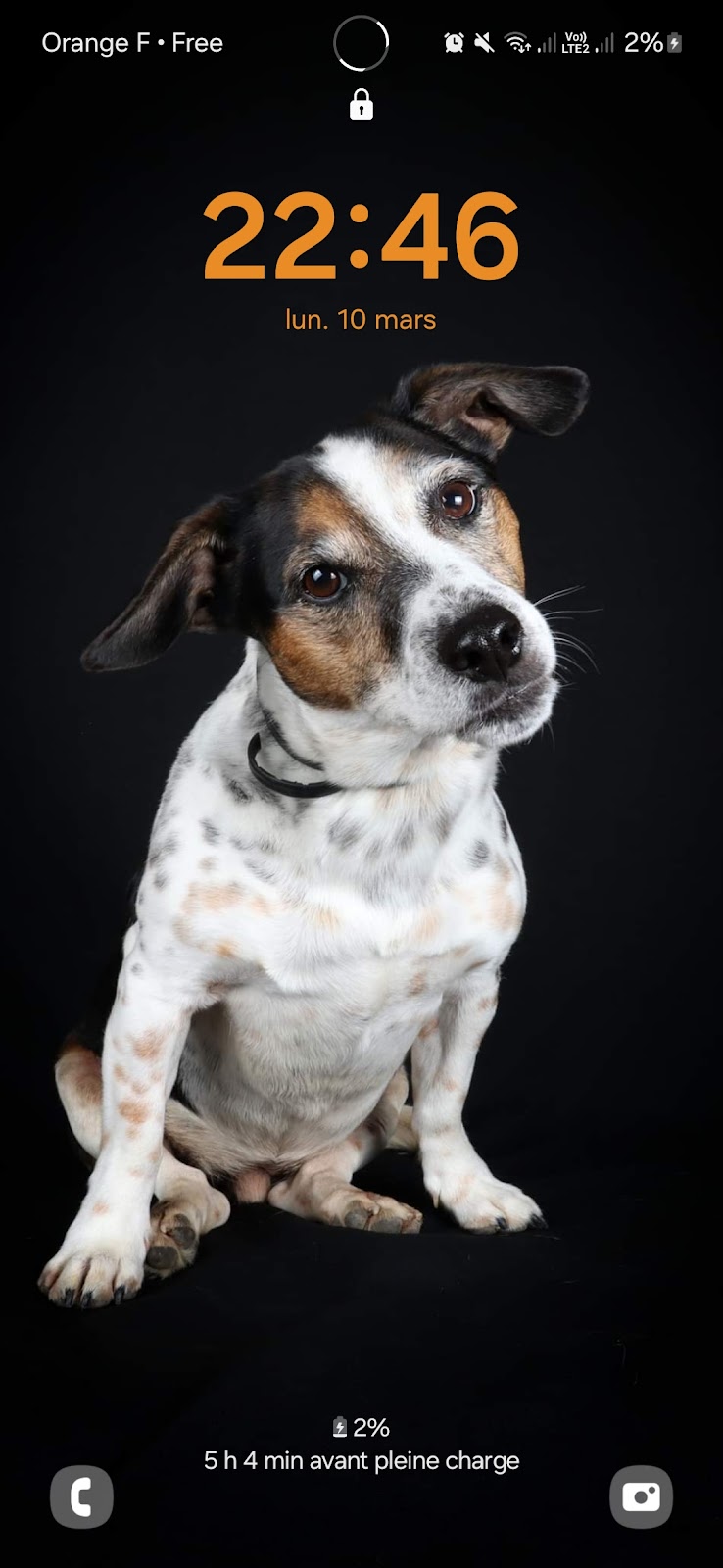 Mag Sage — dogsitter à Avignon