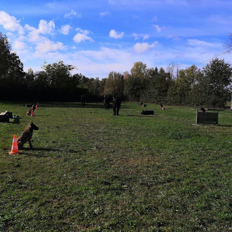 Maitre chien — dogsitter à Revel