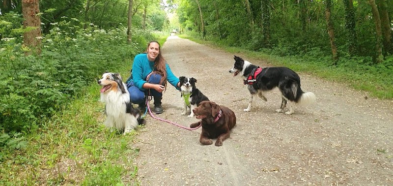 Maman Ours PetSitting 🐻🐾 — dogsitter à Mayenne