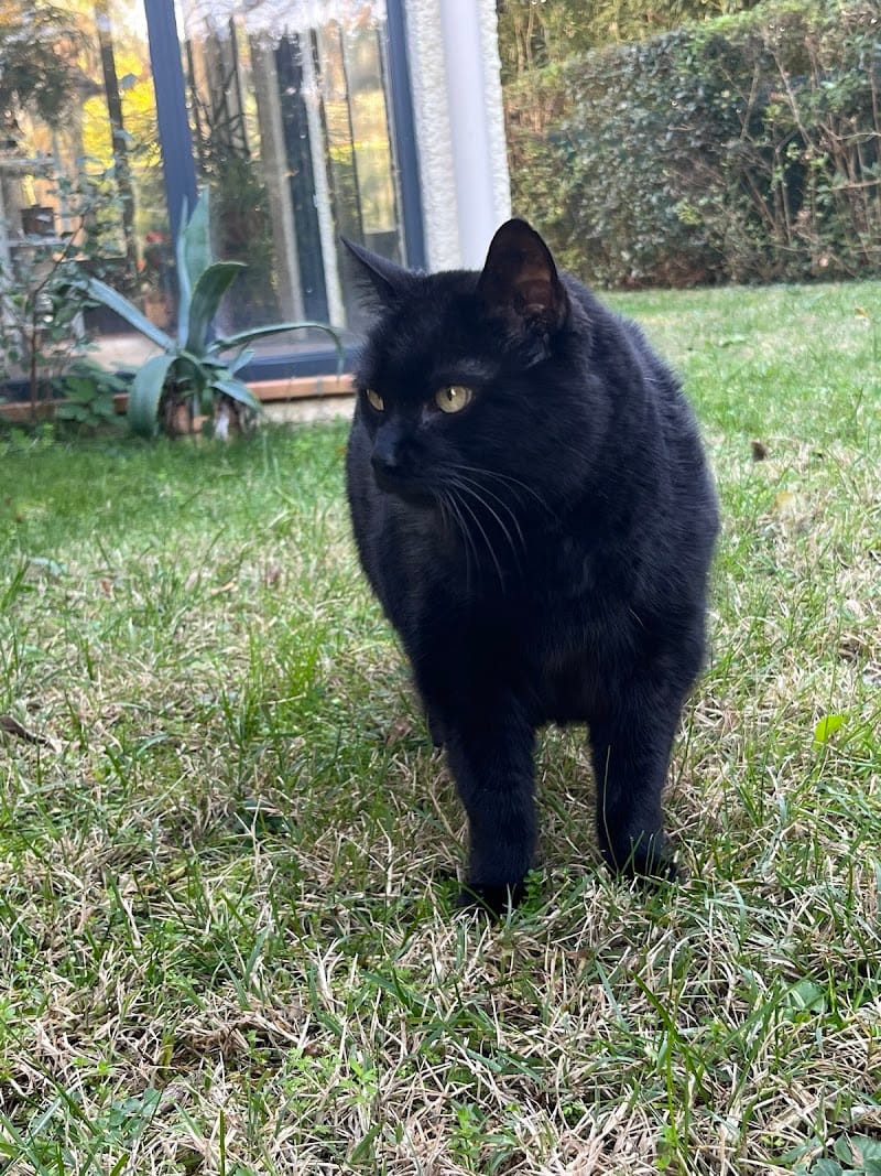 MarySit Garde à Domicile — dogsitter à Avignon