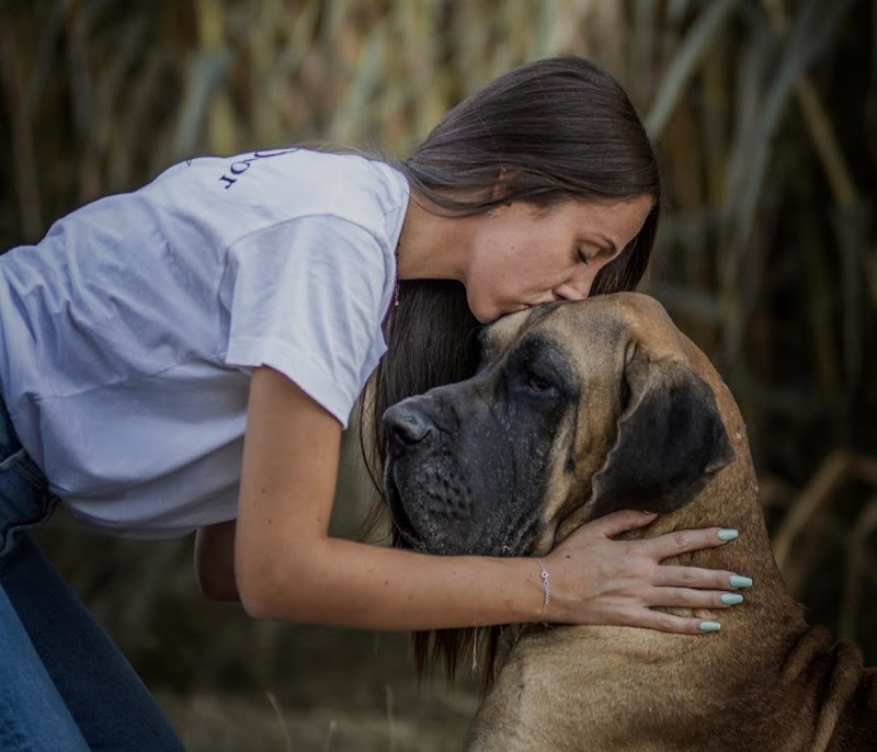 Mélissa Cô Pet sitter — dogsitter à Aix-en-Provence