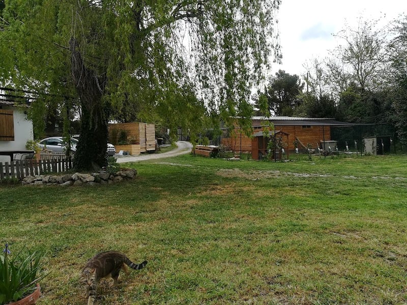 Miaou 4 pattes — dogsitter à Sète