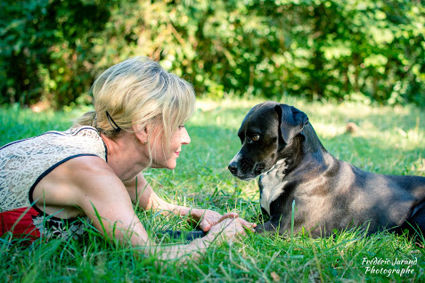 Mieux Le Comprendre — dogsitter à Obernai