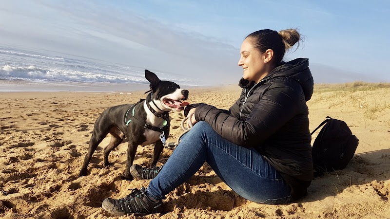 Mon Binôme Ma Meute — dogsitter à Bordeaux