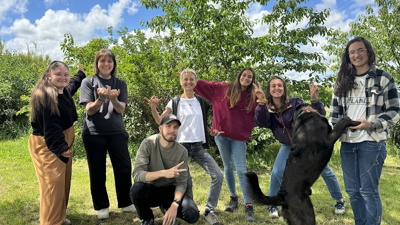 Nature de chien (Centre de formation) — dogsitter à Castelginest