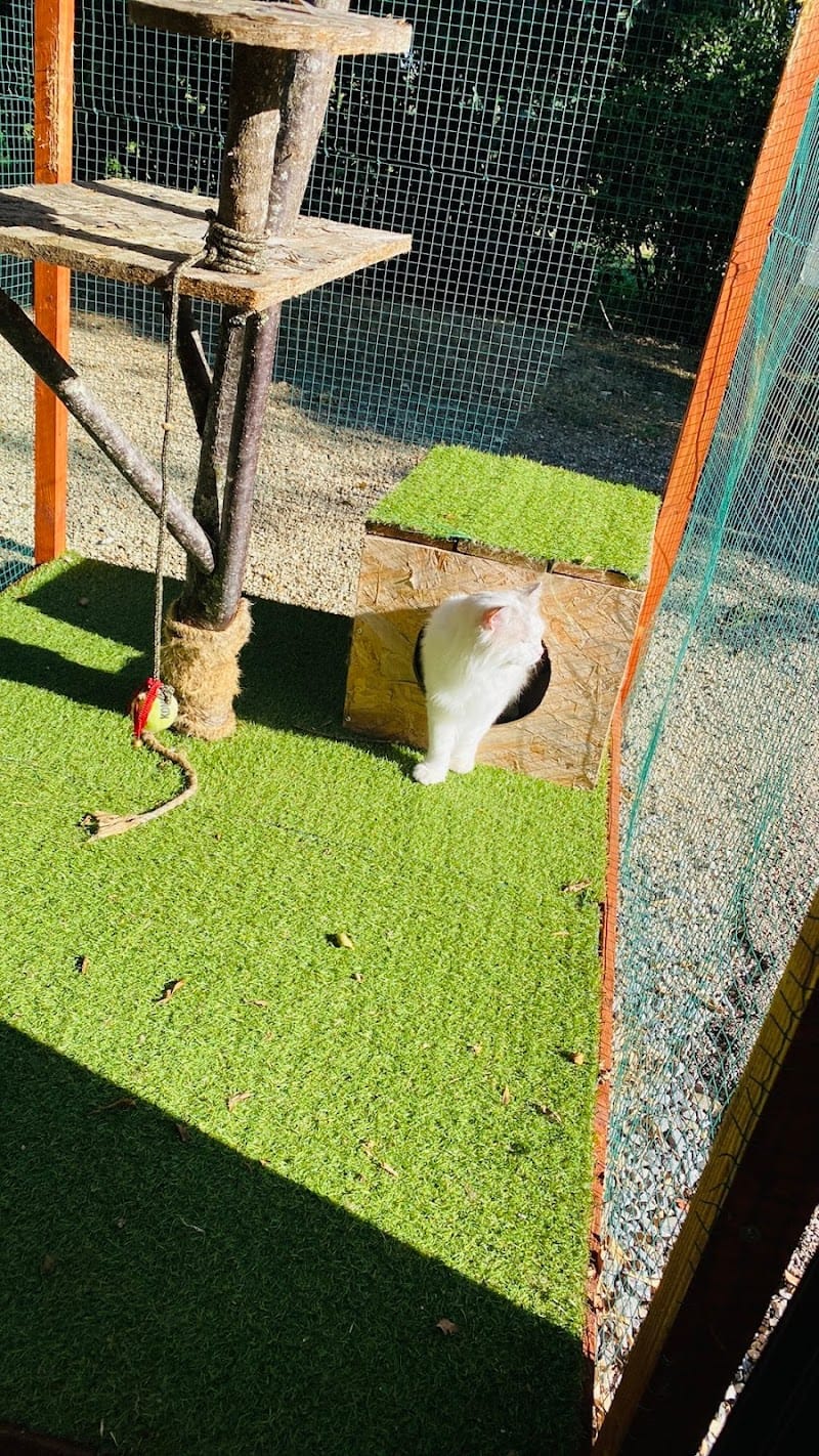 Nos Animaux Tarnais — dogsitter à Castres