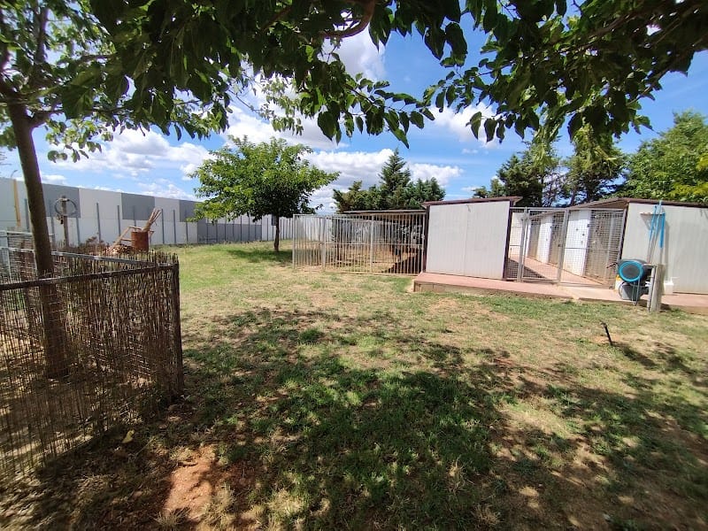 O Clos d'Eden — dogsitter à Béziers