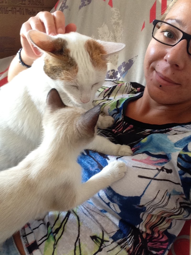 O’Coussinets | Garde d’Animaux à domicile | Pet-Sitter | à Courhezon | Vaucluse — dogsitter à Avignon