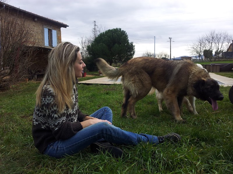 Ô MAKASA — dogsitter à Lyon