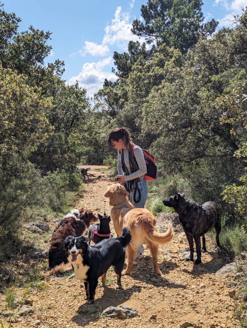 Only's Friends — dogsitter à Juvignac