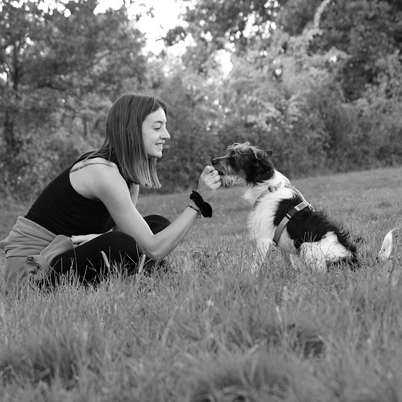 Passionnément chien - Éducation - Balades - & co’ — dogsitter à Bordeaux