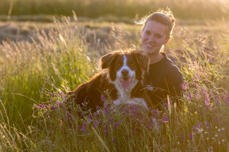 Patt'panique — dogsitter à Phalsbourg