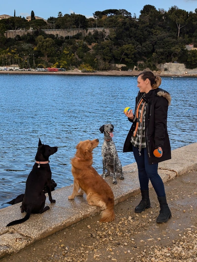 Pattes Gardées — dogsitter à Toulon