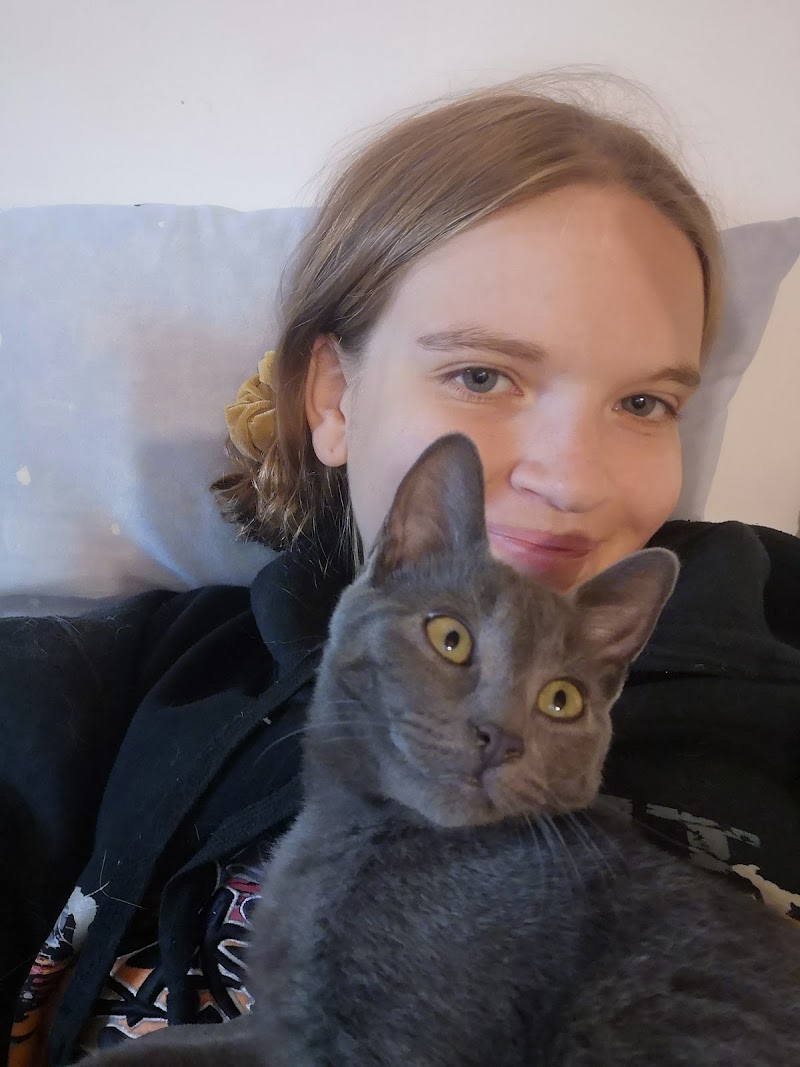 Pauline Pet Sitting — dogsitter à Redon