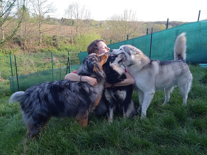 Pension Art'nimale Landean — dogsitter à Fougères