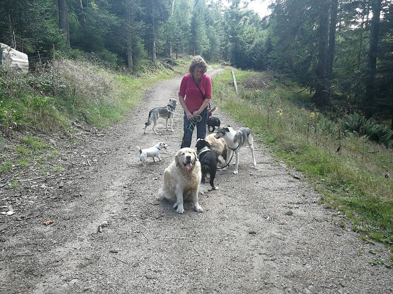 Pension Canine Chez Sophie — dogsitter à Sainte-Marie-aux-Mines