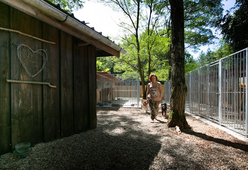 Pension Canine de Cameillac — dogsitter à Langon