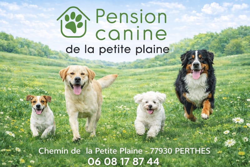 Pension canine de la petite plaine — dogsitter à Évry-Courcouronnes