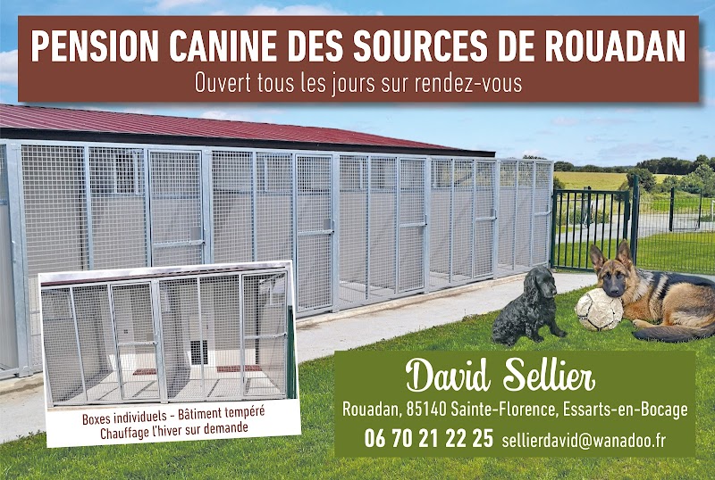 Pension canine des Sources de Rouadan — dogsitter à Les Herbiers