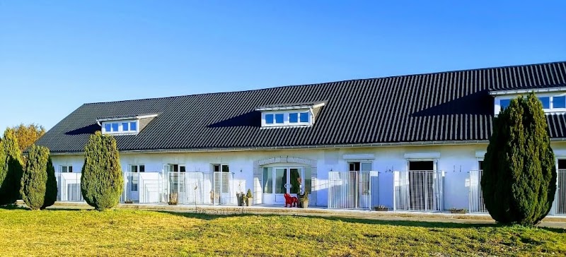 Pension Canine Florent Plomion — dogsitter à Cambrai