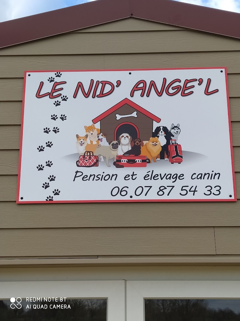 Pension Canine Le Nid' Ange' L — dogsitter à Cholet