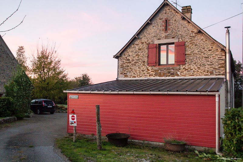 Pension canine Nounou Toutou Matou — dogsitter à Laval