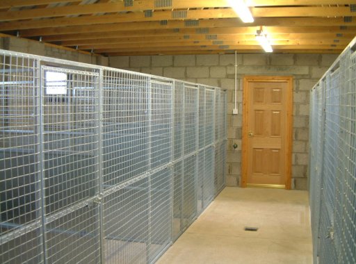 Pension Canine Scapman's — dogsitter à Antony