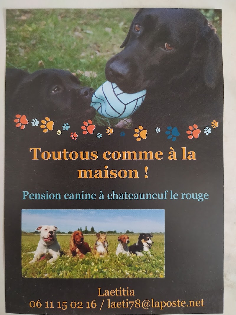 Pension canine Toutous comme à la maison