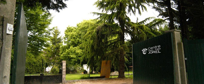 Pension chien 78 JOREL — dogsitter à Mantes-la-Jolie