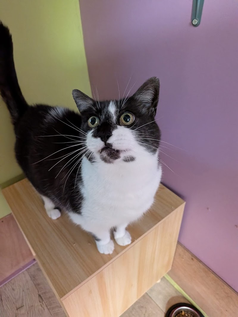 Pension de La Lande DourFal — dogsitter à Theix-Noyalo