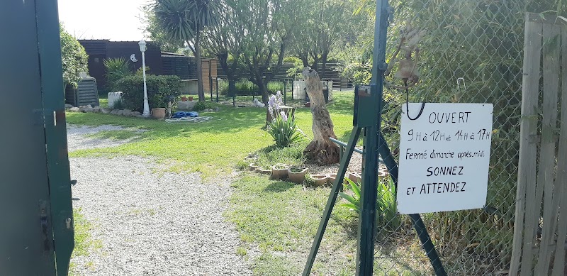 Pension des amandiers — dogsitter à Sète