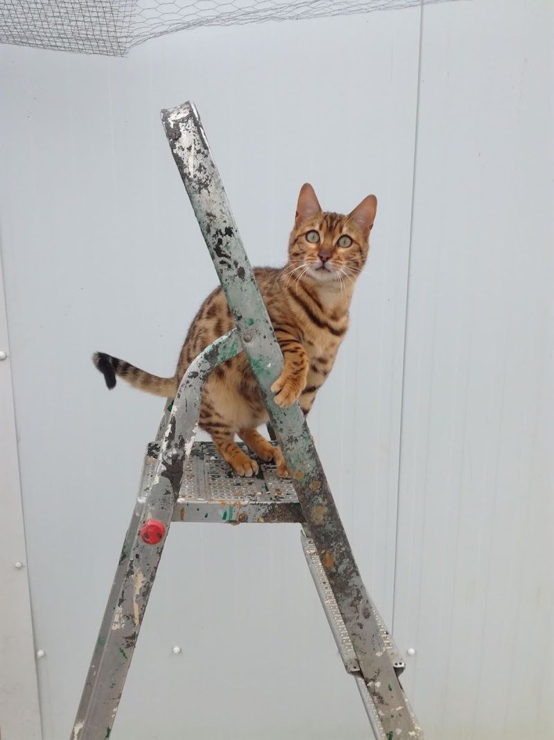 Pension Des Terres d'Emmatchou — dogsitter à Nîmes