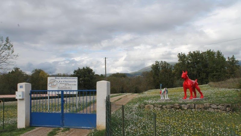 Pension Dog Méditerranée